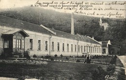 T2 Algyógy, Geoagiu; M. Kir. Állami Vasgyárak Szanatóriuma. Adler Fényirda 1911. / Sanatorium Of The Iron Works - Zonder Classificatie