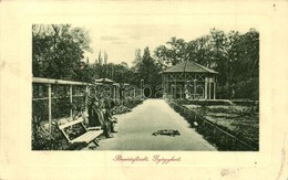 T3 1913 Buziásfürdő, Baile Buzias; Gyógykert. W.L. Bp. 2044. / Kurpark / Spa Garden (fa) - Ohne Zuordnung