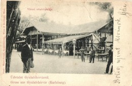 T4 1901 Gyulafehérvár, Karlsburg, Alba Iulia; Városi Sétatérpark, Vendéglő / Promenade Kiosk, Restaurant (vágott / Cut) - Non Classés