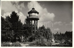 ** T1 Kolozsvár, Cluj; Botanikus Kert, Víztorony / Botanical Garden With Water Tower - Non Classés
