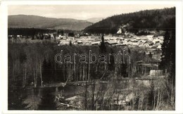 ** T2 Komandó, Comandau; Látkép, Fűrésztelep, Fatelep. Kiadja Lichtenstein Henrik / General View With Sawmill - Zonder Classificatie