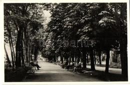 T1/T2 Kovászna, Sétatér / Promenade - Ohne Zuordnung