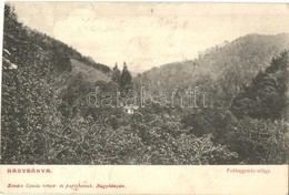 * T4 1907 Nagybánya, Baia-Mare; Fokhagymás Völgy, Kiadja Kovács Gyula / Valley (vágott / Cut) - Unclassified