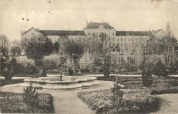 T2/T3 1912 Nagyszeben, Hermannstadt, Sibiu; Erlenpark Und K.u.k. Garnison-Spital / Osztrák-magyar Helyőrségi Kórház. Kia - Ohne Zuordnung