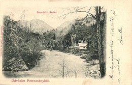 T2 1901 Petrozsény, Petrosani; Szurduki Részlet. Joánovits és Sternád Kiadása / Surduc Gorge - Zonder Classificatie