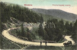 T2/T3 Priszlop-hegység, Prislop (Máramaros, Maramures);  (EK) - Ohne Zuordnung