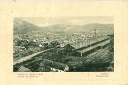 T3 Resica, Resita; Fűrésztelep. W.L. Bp. 137. / Sawmill (fa) - Non Classés