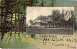 T2 1902 Szatmárnémeti, Szatmár, Satu Mare; Városi Kioszk. Kiadja Reizer János, Erdei Litho Keret / Kiosk. Forest Litho F - Ohne Zuordnung