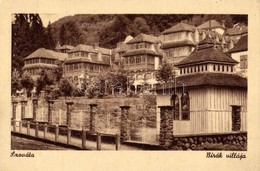 ** * Szováta, Sovata; Bírák és Bernády Villája / Villas - 2 Db Régi Képeslap / 2 Pre-1945 Postcards - Ohne Zuordnung