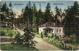 T2/T3 Bártfa, Bardejovské Kúpele, Bardiov; Mignon Villa. Neumann Viktor Kiadása / Villa (EK) - Unclassified