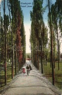T2/T3 Érsekújvár, Nové Zámky; Vasúti Fasor, Kerékpáros Férfi / Railway Promenade With Man On Bicycle (EK) - Non Classés