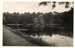 T2 Jászó, Jászóvár, Jasov; Halas Tó. Schwartz László Kiadása / Fishpond, Lake - Zonder Classificatie