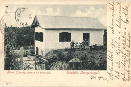 T2 Beregszász, Berehove; Auer Károly Pince és Borháza. Saját Kiadás / Winery - Ohne Zuordnung