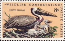 USED STAMPS United-States - Wildlife Conservation -1972 - Gebraucht