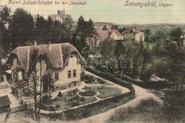 * T2 Savanyúkút, Sauerbrunn; Villák. P. Ledermann / Villas - Sin Clasificación