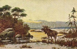 T2 Reindeer; Peluba 273. Artist Signed - Non Classificati