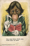 ** T3 Darwin. Nem Rossz Bizony Darvin Tana; Kivált Nálad Van Igaza. Humoros Lap Majommal / Darwin's Doctrines. Monkey, H - Zonder Classificatie