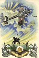 ** T2 Magyar Feltámadást! / Hungarian Irredenta Art Postcard With Aircraft S: Bozó - Ohne Zuordnung