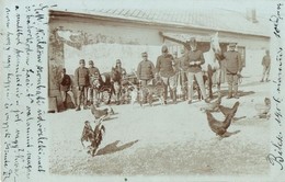 T2 1906 Bilek, Osztrák-magyar Katonák Egy Szombati Napon Az Udvaron, Szamár, Kutyák, Ló, Kakasok / K.u.k. Soldiers On Sa - Unclassified