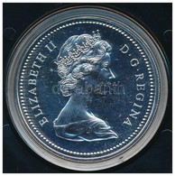 Kanada 1974. 1$ Ag '100 éves Winnipeg' Eredeti Dísztokban T:1 
Canada 1974. 1 Dollar Ag 'Winnipeg Centennial' In Origina - Unclassified