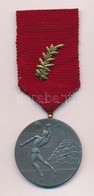 1950. 'Magyar Röplabda Szövetség - 1949-1950 Bajnokság - I. Hely' Fém Díjérem Szalagon (40mm) T:2 - Sin Clasificación