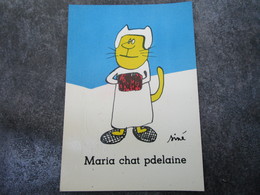 MARIA CHAT PDELAINE - Sine