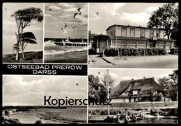 ÄLTERE POSTKARTE GRUSS AUS DEM OSTSEEBAD PREROW DARSS ESPERORT FDGB ERHOLUNGSHEIM KRABBENORT PREROWSTROM Ansichtskarte - Seebad Prerow