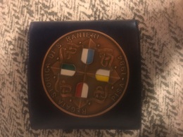 1984 Medaglia Grande Modulo In Bronzo Qsmaltata Regata Storica Di San Ranieri Pisa Amalfi Genova Venezia - Bronzes