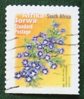 FLOWERS. AFRIKA BORWA  Flower Fleur Blumen 2000 Mi - Y&T - Used Gebruikt Oblitere SUD SOUTH AFRICA RSA - Oblitérés