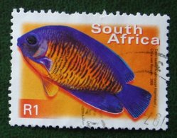 R1 Flora And Fauna Vis Fish Poisson Coral Beauty 2000 Mi 1295 Y&T - Used Gebruikt Oblitere SUD SOUTH AFRICA RSA - Oblitérés