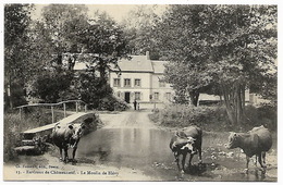EURE ET LOIR - Environs De Châteauneuf - Le Moulin De Blévy - Blévy