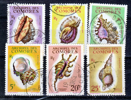 Comores  19/24 Coquillages  Oblitéré Used Cote 40 - Usati