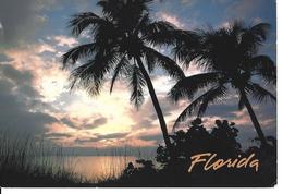 AMERIQUE - ETATS UNIS - FLORIDA - BEAUTIFUL SUNSET - KEY WEST - STAMPS RED CLOUD - FRANK C. LAUBACH - Voyagé - Key West & The Keys