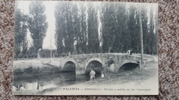 CPA PALENCIA ALREDEDORES PUENTE Y SOTILLO DE LOS CANONIGOS - Palencia