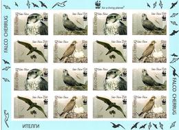 Kyrgyzstan.2009 WWF. Saker Falcon. Imperf Sheetlet Of 16 (4x4). 579-82 B Bg. - Kirghizistan