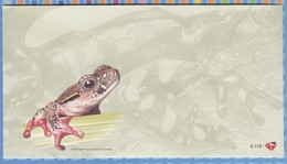 South Africa RSA - 2000 - FDC 6.118 Frogs Of SA  - Unserviced Cover - Covers & Documents