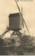 Herentals Molen Herenthals - Herentals