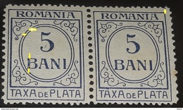 Error Revenue Stamps Romania 1918 Paar , 5bani,blue, WITHOUT LINE RIGHT FRAME,, MISSING POINT  IN LEFT - Errors, Freaks & Oddities (EFO)