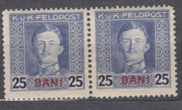 Austria Occupation Of Romania 1917/1918 Mi#8 Mint Never Hinged Pair - Unused Stamps