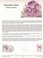 Document 1er Jour Du Timbre Champignon Chanterelle Violette Champignons Mushroom Setas Pilze - Funghi