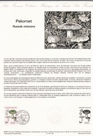Document 1er Jour Du Timbre Champignon Russule Palomet (verdoyante ) Champignons Mushroom Setas Pilze - Funghi