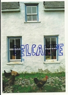 Ireland. West Cork. Small Farm House. Photo Liam Blake. Poules Et Coq - Autres & Non Classés