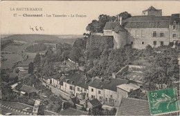 CHAUMONT  52  HAUTE MARNE  CPA  LES TANNERIES ET LE DONJON - Chaumont