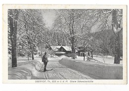 OBERHOF (Allemagne) Obere Schweizerhutte - Oberhof