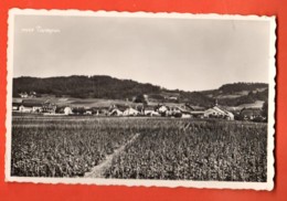 TRV-11 Tartegnin Sur Rolle Le Pays Du Bon Vin. Message Sur Les Villageois. Circulé Vers L'Allemagne En 1959 - Rolle