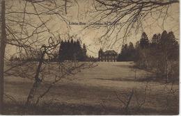 Libin-Bas    (Château De Buchay)   -   1930 Naar   Dison - Libin