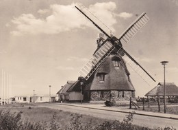 CPSM 10X15 .ALLEMAGNE . Mecklenburger Mühle  . VEG .Tierszucht (Moulin à Vent / Beau Plan ) - Otros & Sin Clasificación
