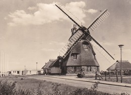 CPSM 10X15 .ALLEMAGNE . Mecklenburger Mühle  . VEG .Tierszucht (Moulin à Vent / Beau Plan ) - Other & Unclassified