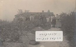 RULLY  - La Pause Avant Les Vendanges D'Octobre 1910    ( Carte Photo ) - Other & Unclassified