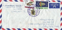 Ethiopia 2011 Posele Postal Agency Millennium Woodpecker Bushbuck Cover - Ethiopie